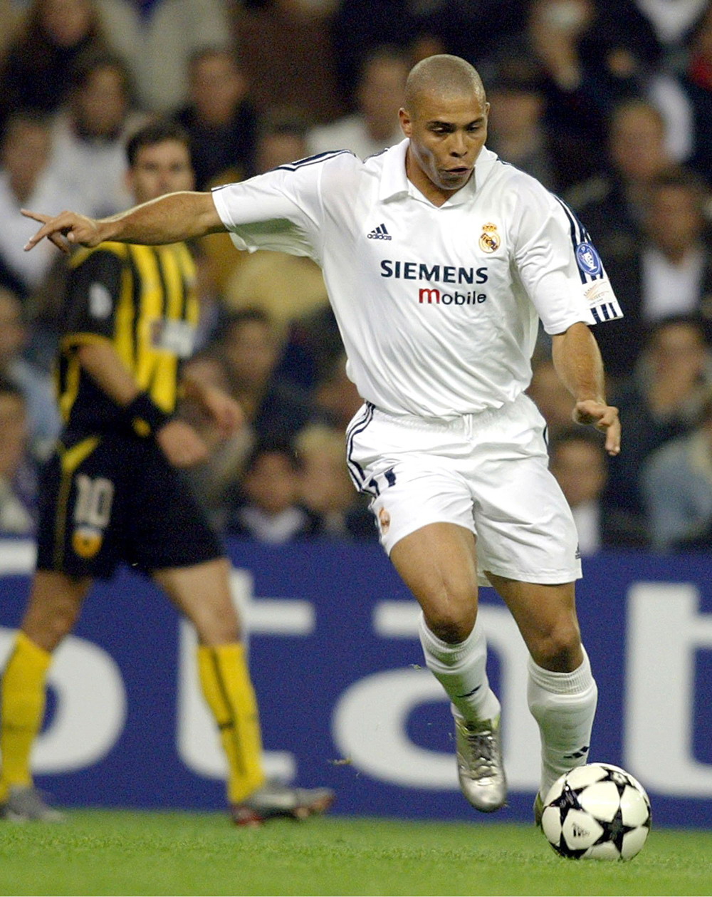 王长庆回应“摘桃”：启蒙不是我带的就算摘桃？我们考察了200多人（被质疑“摘桃”，王长庆回应：启蒙并非我带，何来摘桃？我们考察过200多人）